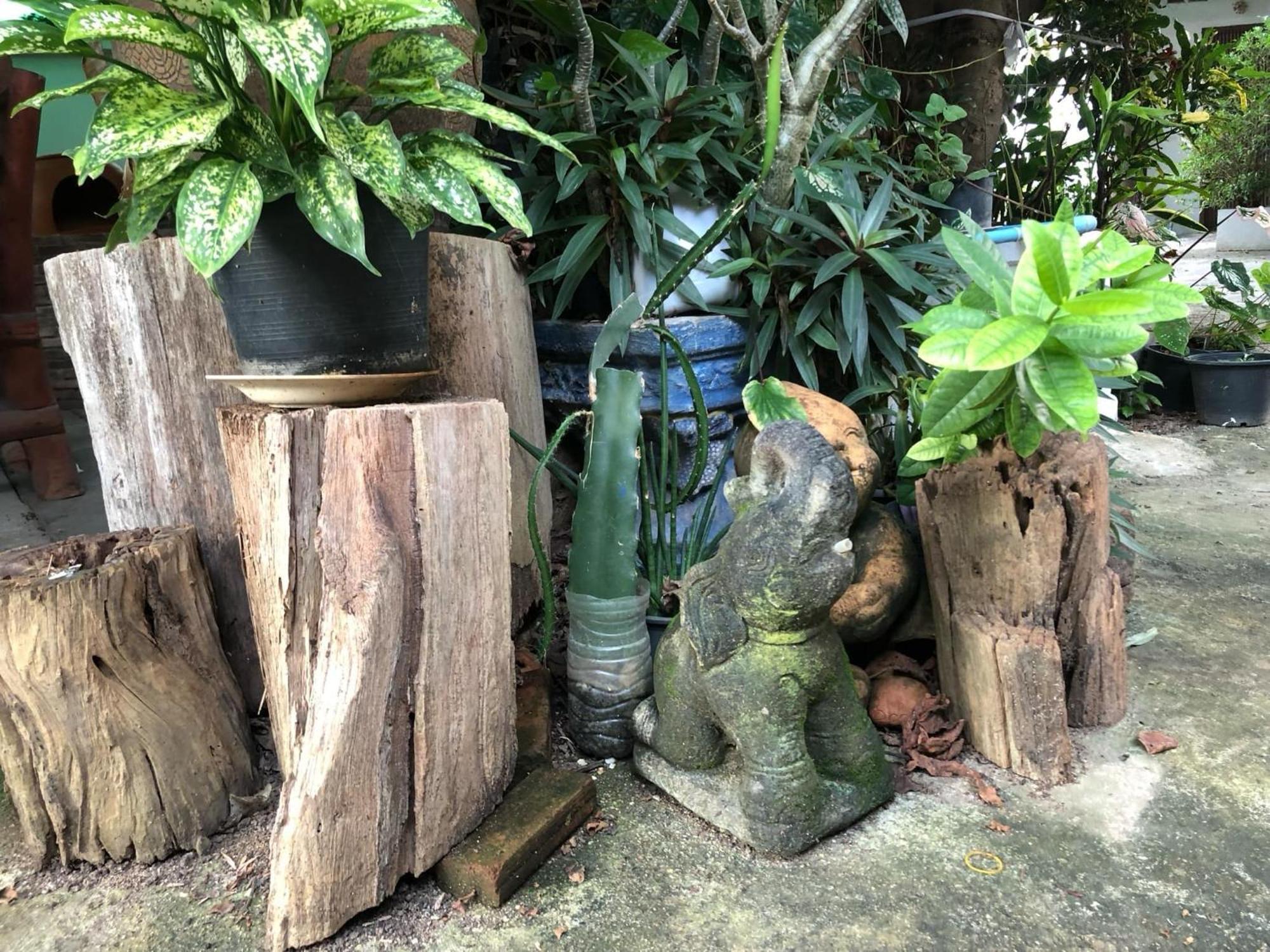 Lungsonhouse Pai Villa Bagian luar foto